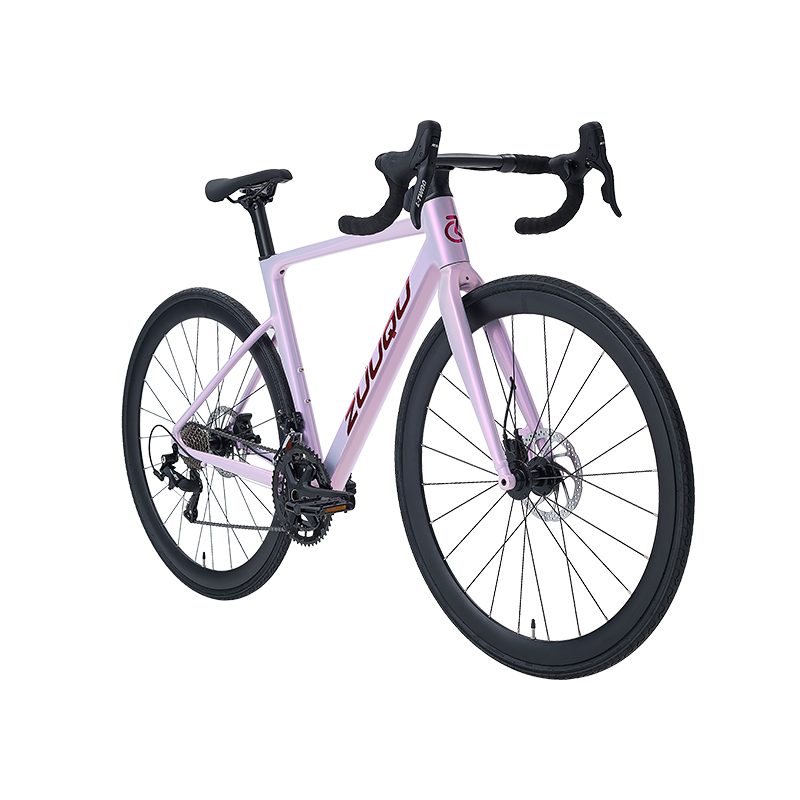 HYB-049 Lekki fioletowy trwały dobry rower w absorpcji wstrząsu